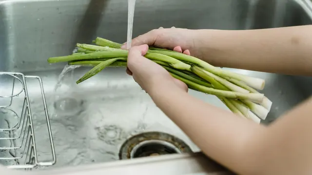 Jangan Cuci Sayur Sebelum Disimpan