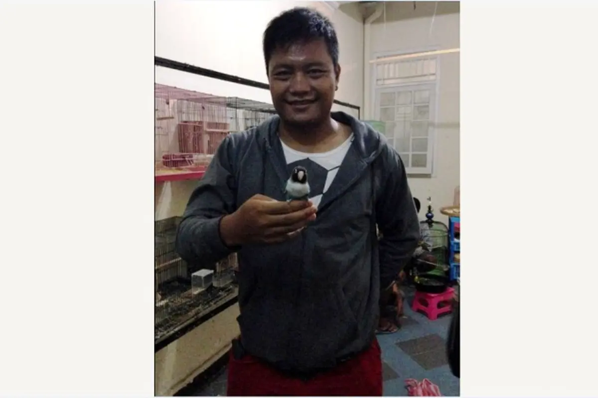 Wahyu Wijiastanto