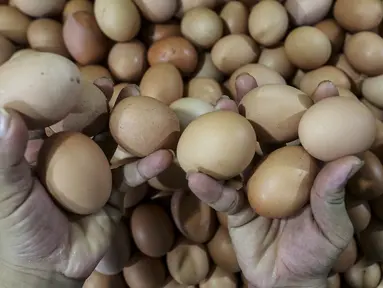 Pedagang menunjukkan telur ayam ras di salah satu stan Pasar Kebayoran Lama, Jakarta, Selasa (29/12/2020). Dinas KPKP Provinsi DKI Jakarta menyiapkan operasi pasar guna mengendalikan harga pangan, salah satunya telur ayam yang mengalami kenaikan jelang Tahun Baru 2021. (Liputan6.com/Johan Tallo)