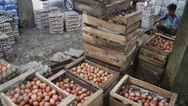  Harga  Telur  Ayam  Tembus Rp 30 Ribu per Kg di  Pasar 