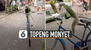 Aksi unik dan menakjubkan diperlihatkan oleh seekor monyet ketika beraksi memakai sepeda besar.