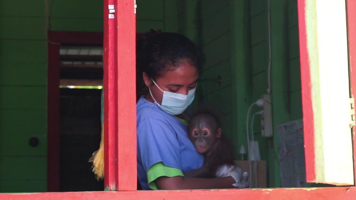 Kartini Kini di Garis Sunyi Konservasi: Cerita Pengabdian Hidup di Pedalaman Hutan Kalimantan