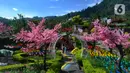 Wisatawan menikmati tempat wisata yang Instagrammable di kawasan Puncak Dua, Sukamakmur, Bogor, Jumat (6/1/2023). Meski kawasan Puncak Dua belum dikembangkan secara maksimal oleh Pemkab Bogor dan pemerintah pusat, warga seputar Jabodetabek dan Cianjur tetap antusias mengunjungi kawasan ini sebagai tempat wisata alternatif selain kawasan Puncak dan sekitarnya yang selalu didominasi kemacetan lalu lintas. (merdeka.com/Arie Basuki)