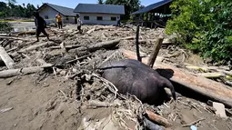 Satu gajah sumatera ditemukan mati di antara timbunan kayu dan lumpur pasca banjir bandang di Kabupaten Pidie Jaya, Aceh. Tampak dalam foto, orang-orang berjalan di dekat bangkai gajah Sumatra yang terkubur lumpur di daerah terdampak banjir di Meureudu, Kabupaten Pidie Jaya, Provinsi Aceh, pada 30 November 2025. (CHAIDEER MAHYUDDIN/AFP)