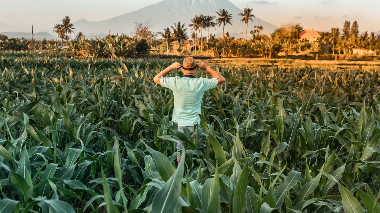 Ilustrasi Kabupaten Karangasem (Foto: Artem Beliaikin/Pexels.com)