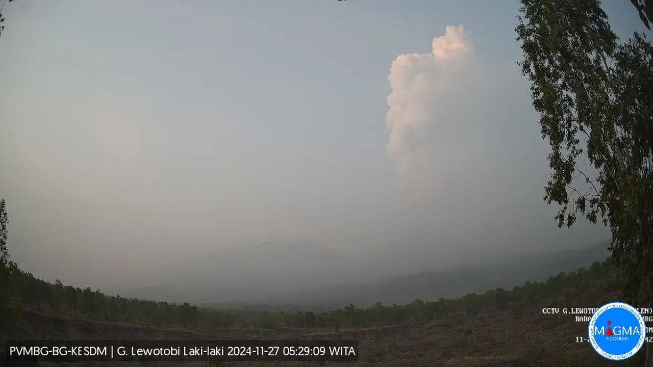 Gunung Lewotobi Laki-laki