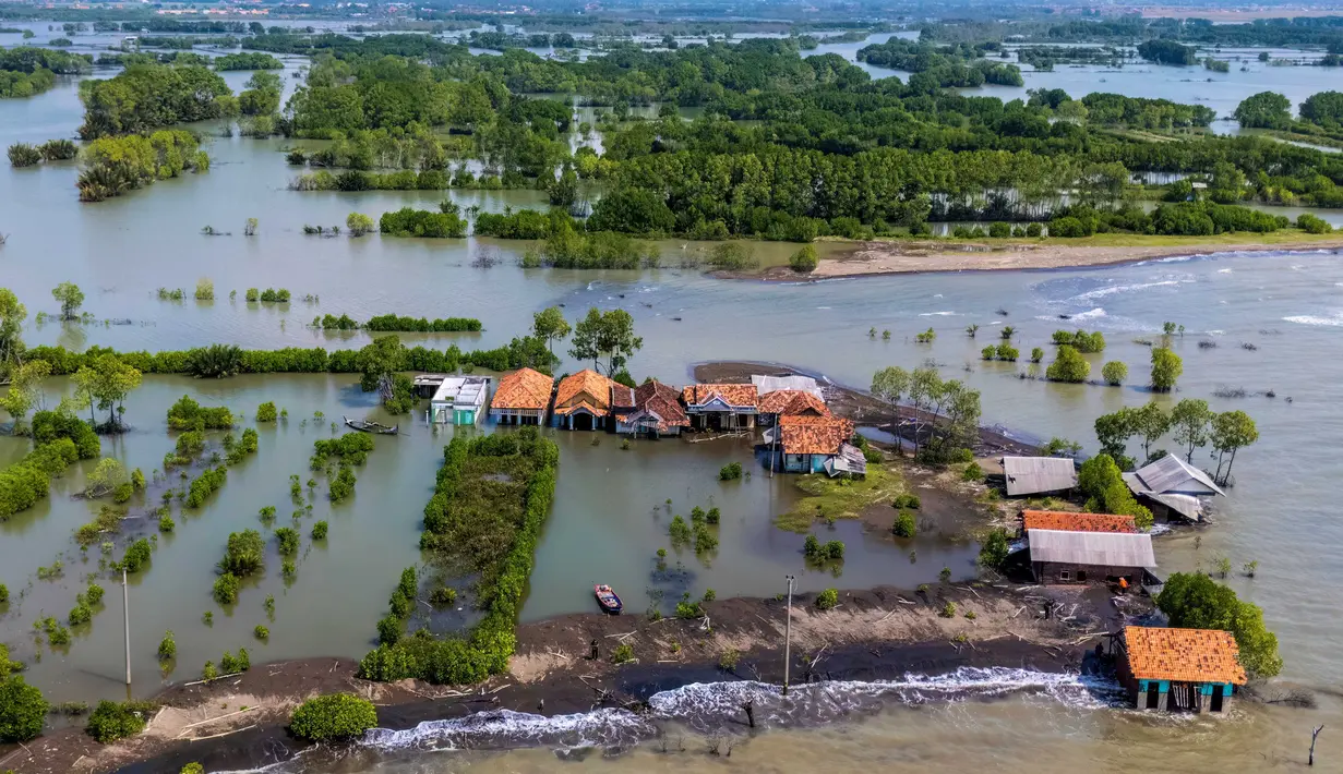Untuk diketahui, data dari Dinas Kelautan dan Perikanan Kabupaten Demak, pada tahun 2011 ekosistem mangrove di Kabupaten Demak sekitar 8 % dalam kondisi rusak. Tampak dalam foto yang diambil pada 29 Juli 2025 menunjukkan pemandangan udara rumah-rumah yang terbengkalai dan sebagian terendam air, yang hilang akibat kenaikan pasang surut akibat perubahan iklim, di Desa Semonet, Pekalongan, Jawa Tengah. (BAY ISMOYO/AFP)