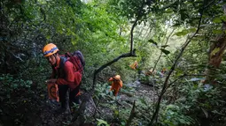 Saat ini, petugas fokus mempersiapkan jalur evakuasi dengan mempertimbangkan kondisi medan yang berat. Tampak dalam foto, tim gabungan pencarian dan penyelamatan mendaki menuju lokasi yang diduga sebagai tempat jatuhnya pesawat turboprop Indonesia Air Transport yang kehilangan kontak sehari sebelumnya saat terbang dari Yogyakarta ke Makassar, di Pegunungan Bulusaraung, Sulawesi Selatan, Minggu 18 Januari 2026. (Muchtamir/AFP)