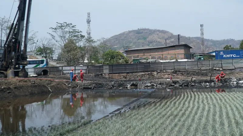 Sawah tercemar minyak