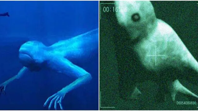 (c) pinktentacle.com