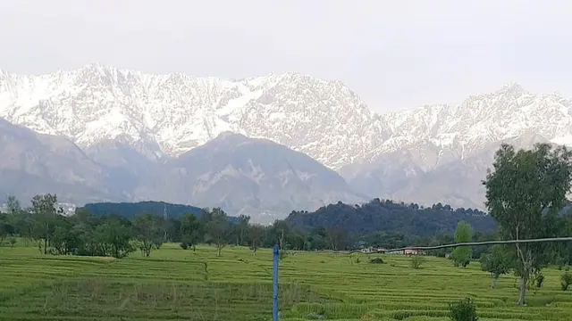 Polusi Menurun karena Corona, Himalaya Kembali Terlihat dari India Setelah 30 Tahun