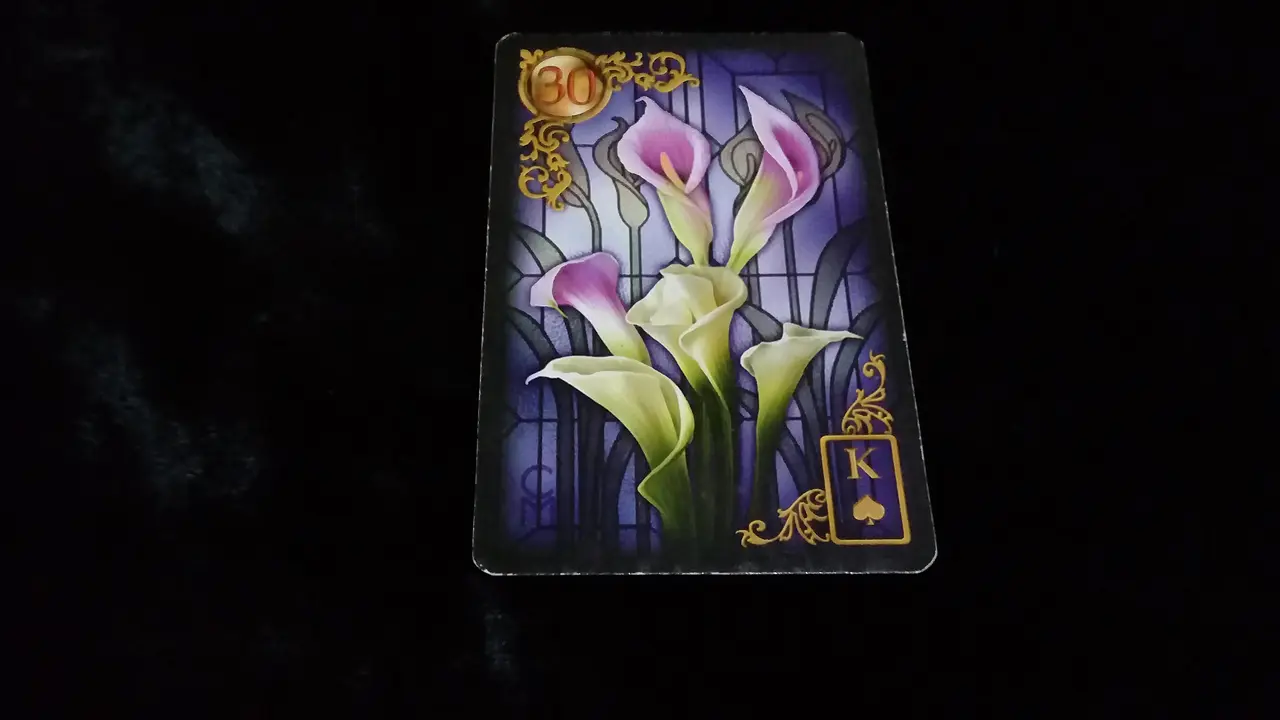 Tarot Hari Ini, Jumat, 8 Juni 2018 (Foto: Elisabet Kusumodewi)