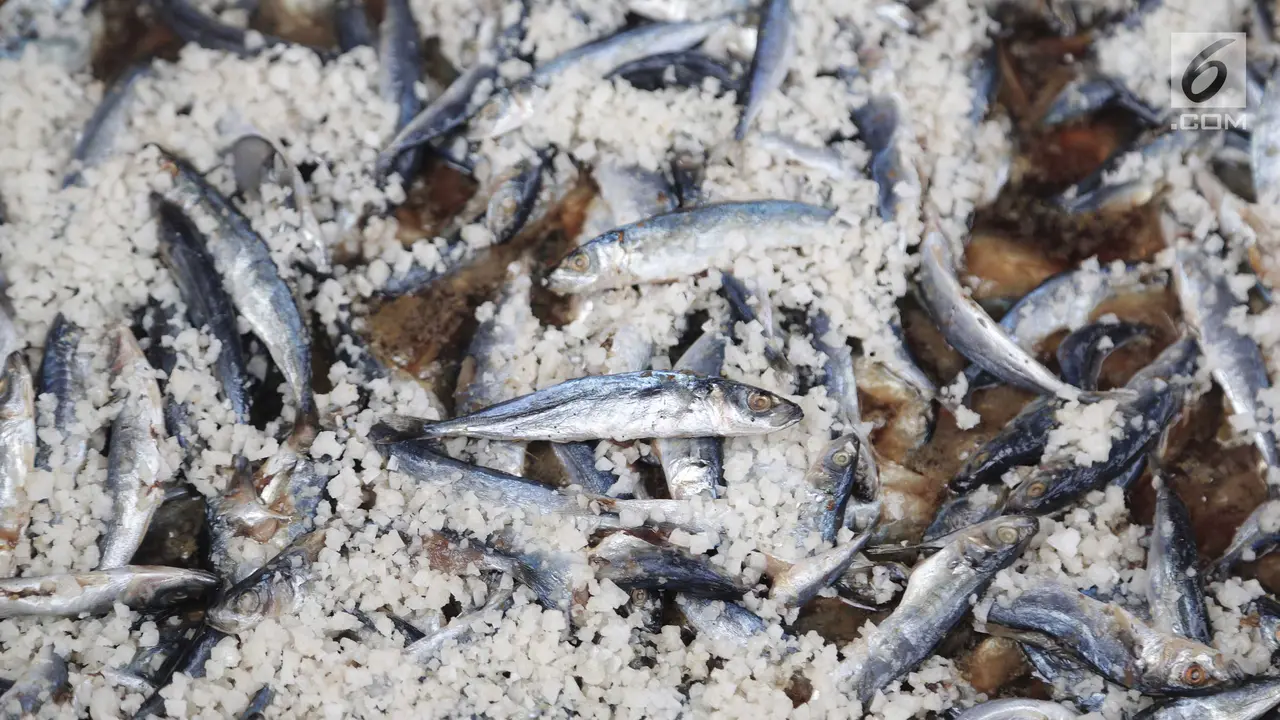 Produksi Ikan Meningkat
