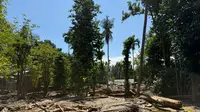 Wamen Komdigi Keluar Masuk Sejumlah Kabupaten di Wilayah Bencana Aceh, Pulihkan Jalur Komunikasi