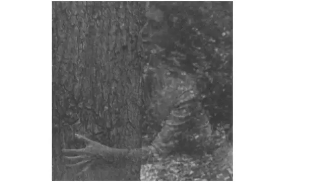 Photo copyright pinterest.com