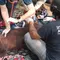 Orangutan yang Pingsan Terpapar Asap Kebakaran Hutan Kalimantan Akhirnya Mati