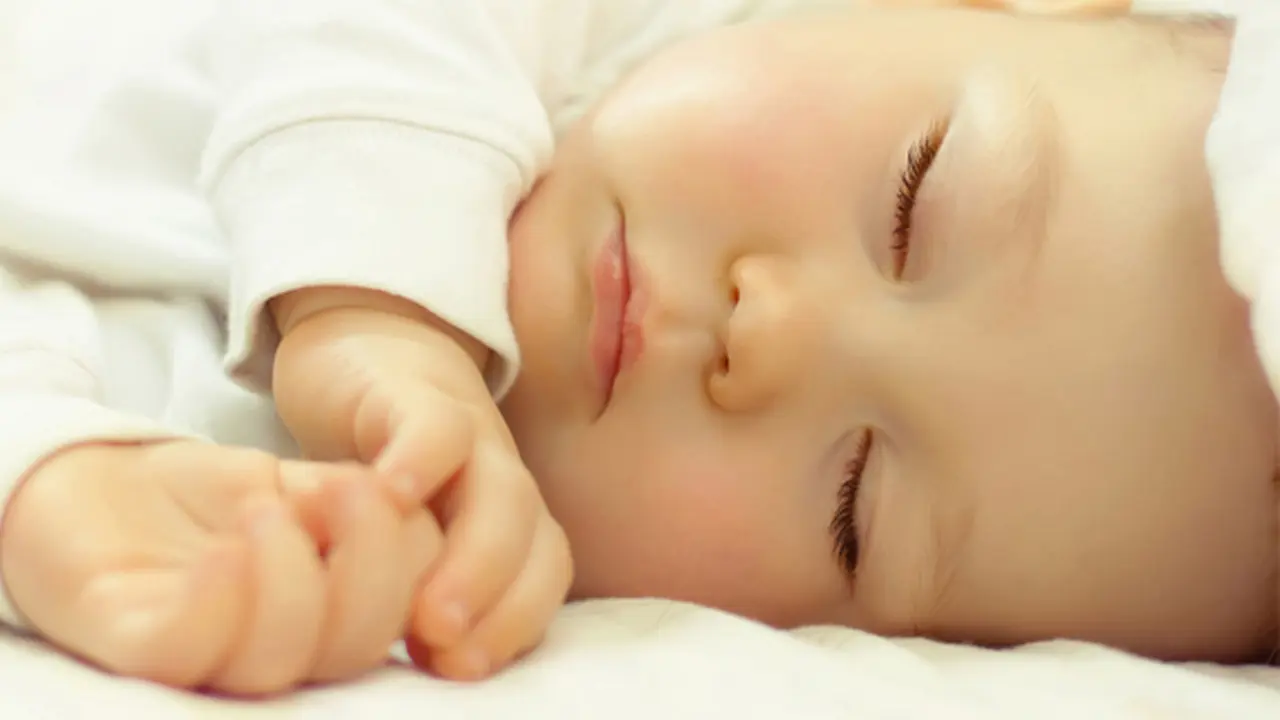 Foto: Copyriht Shutterstock.com