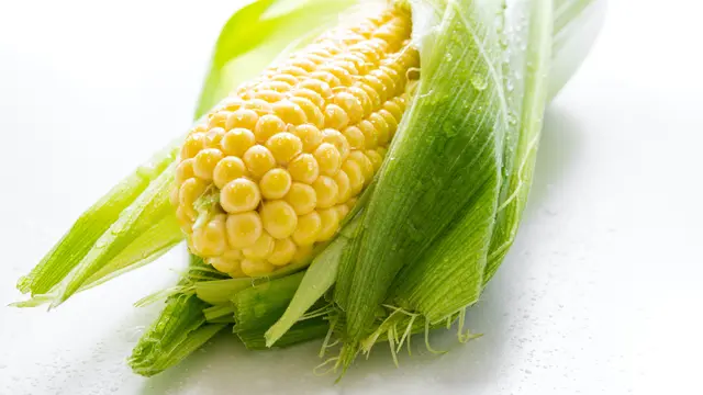 Ilustrasi jagung