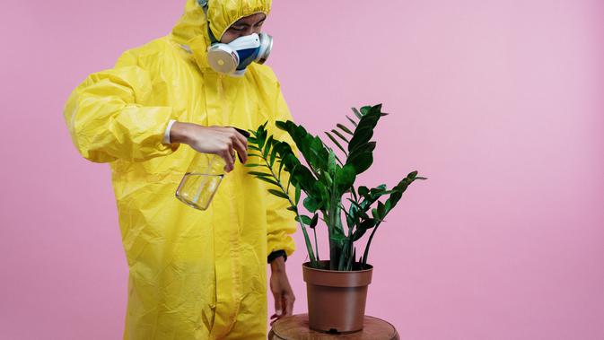 Ilustrasi Penyemprotan Disinfektan Credit: pexels.com/cottonbro