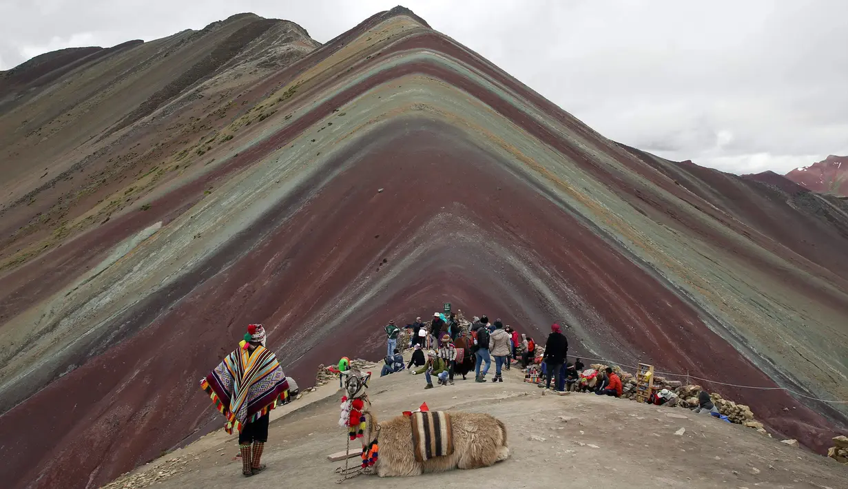 Seorang pria Andes beristirahat bersama llamanya di Gunung Pelangi di Pitumarca, Peru (2/4). Rainbow Mountain atau Gunung Pelangi memiliki warna-warni seperti pelangi ini memiliki ketinggian 16.404 kaki (5.000 meter) di Andes Peru. (AP Photo/Martin Mejia)