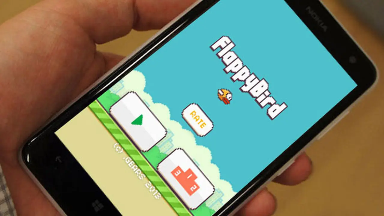 flapy-140208b.jpg