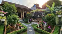 8 Jenis Tanaman Buah dan Hias yang Cocok Digabung di Kebun Pekarangan