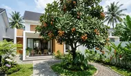 9 Pohon Buah dengan Bentuk Daun yang Menarik, Cocok untuk Taman Rumah