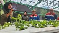 Pertamina Berdayakan Kampung Rawa Bening Kembangkan Pertanian Hidroponik dan UMKM