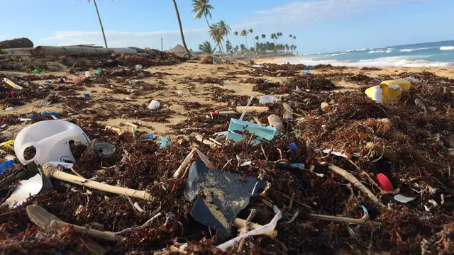 Reaksi Danone AQUA Diminta Sungai Watch Berhenti Produksi Air Minum Kemasan Gelas yang Cemari Sungai-Sungai di Bali
