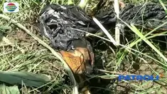 Diduga mengalami depresi, seorang ibu di Probolinggo tega mengajak anaknya melakukan aksi bakar diri. Pelaku kritis, sementara anak balitanya tewas mengenaskan.