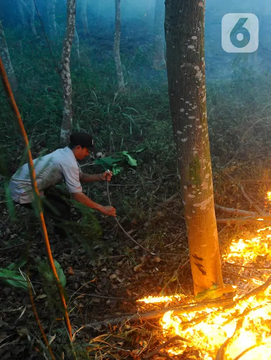 Petugas menggunakan ranting pohon untuk memadamkan api. (merdeka.com/Arie Basuki)