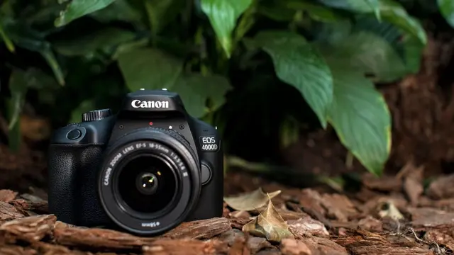 Canon EOS 4000D