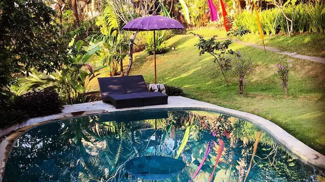 Kolam renang salah satu fasilitas di Tree House.