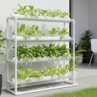 Kebun Sayur Hidroponik Minimalis/Ide Kebun Sayur Kecil di Teras yang Praktis (Sumber: gemini.com)