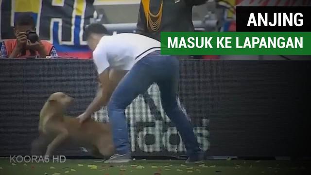 Seekor anjing masuk ke dalam lapangan pada laga antara Kolombia Vs Brasil, Selasa (5/9/2017)