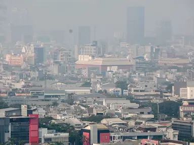 Penampakan polusi udara di langit Jakarta Utara, Senin (29/7/2019). Jakarta menjadi kota paling berpolusi di dunia versi AirVisual pagi ini. (Liputan6.com/Faizal Fanani)