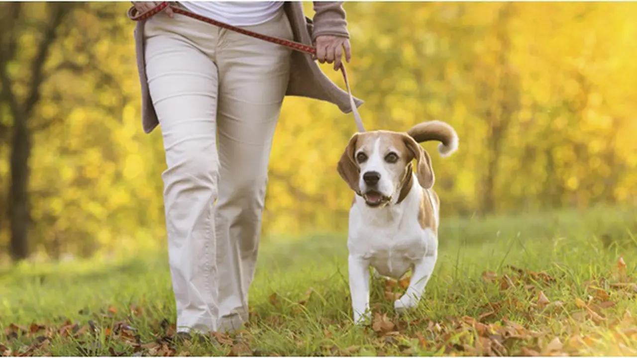 Copyright by Thinkstock.com