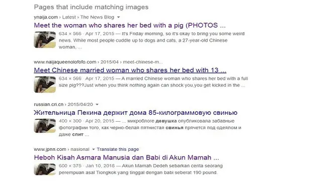 Gambar Tangkapan Layar Penelusuran Foto dengan Google Reverse Image