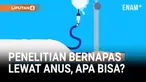 Para peneliti di Jepang sedang menguji sebuah proses yang dikenal sebagai ventilasi enteral. Proses ini memompa cairan kaya akan oksigen ke dalam anus.