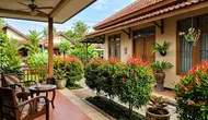 9 Tips Menata Pucuk Merah di Teras Rumah agar Tampak Lebih Estetik