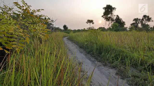 Sunset di Pulau Pari