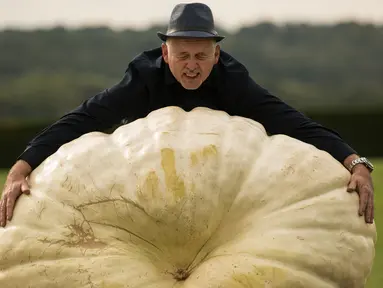 Graham Barrat berpose dengan labu seberat 319,8 kg yang memenangkan kompetisi pada hari pertama Harrogate Autumn Flower Show di Harrogate, Inggris, 14 September 2018. Berbagai macam hasil kebun berukuran raksasa meramaikan acara ini. (AFP/OLI SCARFF)