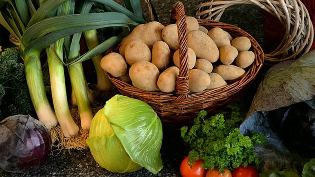 4 Sayur Kaya Protein Ini Bisa Gantikan Daging