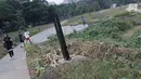 Kondisi tanaman yang ada di sekitar Hutan Kota GBK, Jakarta, Selasa (2/7/2019). Kurangnya perawatan berakibat rusaknya beberapa tanaman yang ada di area Hutan Kota GBK. (Liputan6.com/Helmi Fithriansyah)
