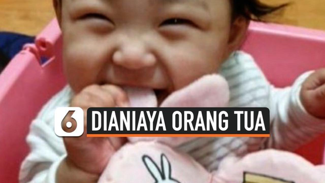 VIDEO: Warganet Kutuk Penganiayaan Jung In, Balita yang Meninggal di Tangan Orang Tua Angkat