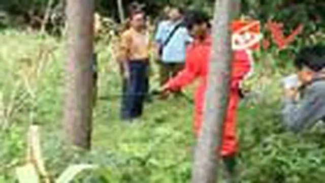 Jenis Ulat Bulu Tiap Daerah Berbeda
