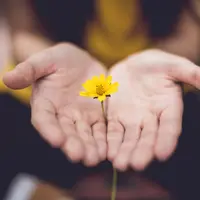 Melalui Yayasan Pundi Amal Peduli Kasih (YPP), Emtek kembali memberikan bantuan APD dan 750 paket sembako. (Photo by Lina Trochez on Unsplash)