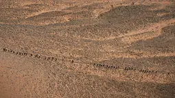 Pelari berlomba di Etape 4 Marathon des Sables antara Ba Hallou dan Hassi Tarfa di Gurun Sahara, Maroko, (13/4/2016). (AFP/Jean-Philippe Ksiazek)