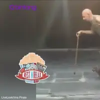 Anjing Ini Tuntun Seorang Lansia Berjalan