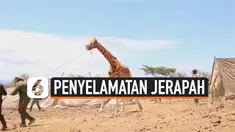 THUMBNAIL jerapah